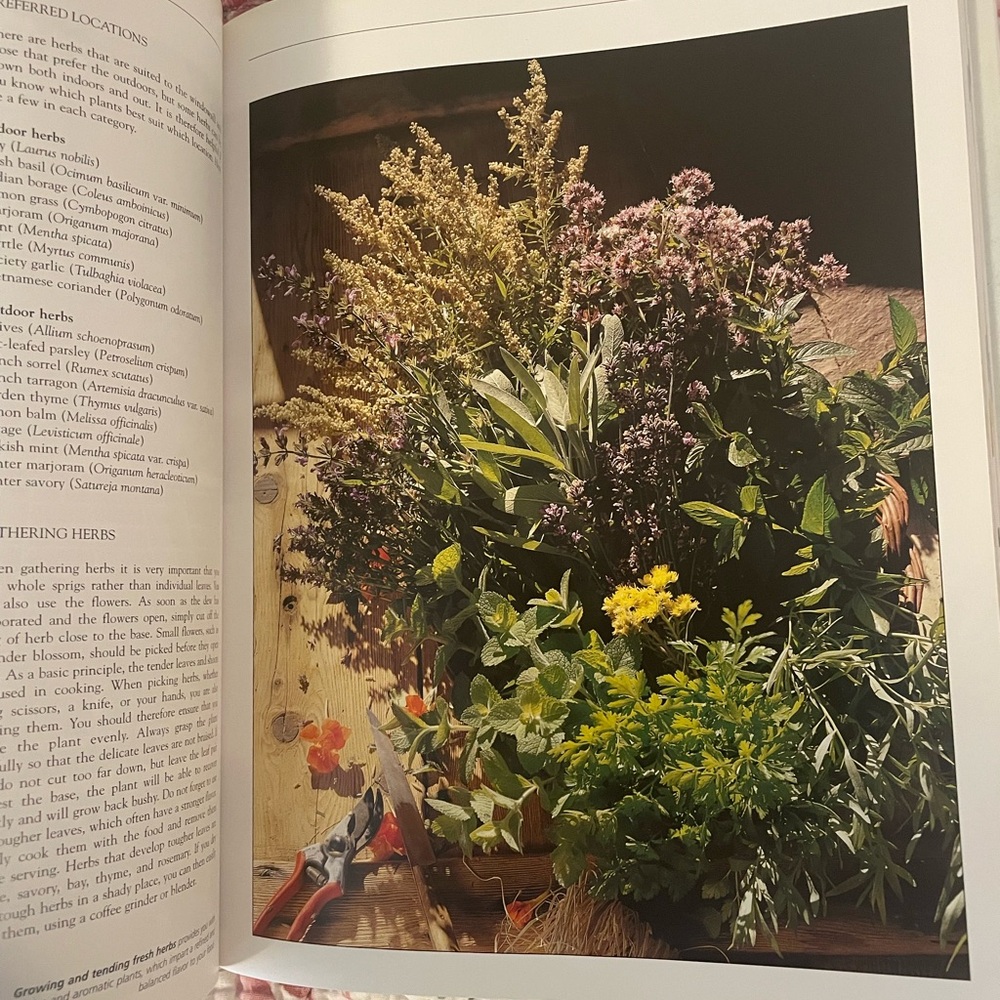 The Herbs and Spices Cookbook - Picture 6 of 8
